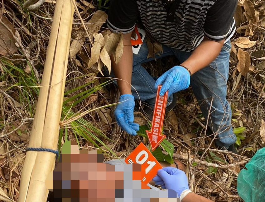 Wanita Pencari Janda Bolong, Malah Menemukan Mayat di Hutan