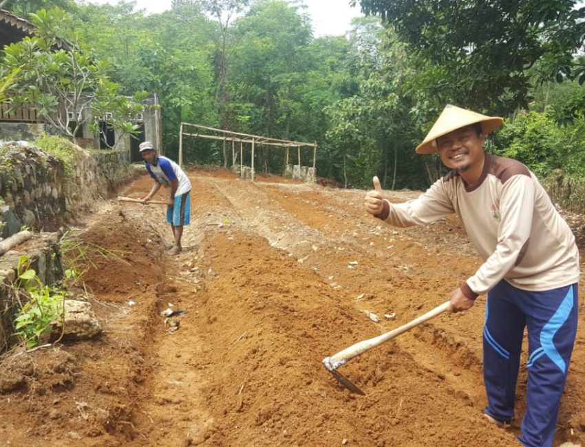 Ketua KTNA Jepara Sayangkan Pupuk Menghilang dan Mahal di Jepara