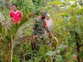 Koptu Supardi bersama warga memanen jagung