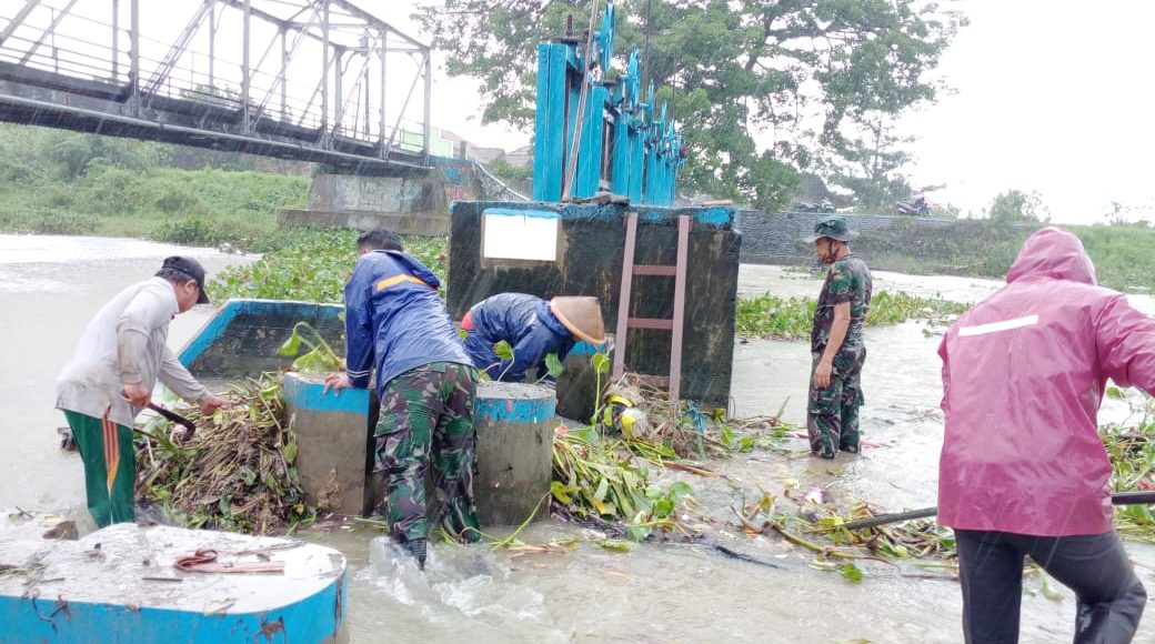 Meski Diguyur Hujan Anggota Koramil Welahan dan Masyarakat Bersihkan Eceng Gondok