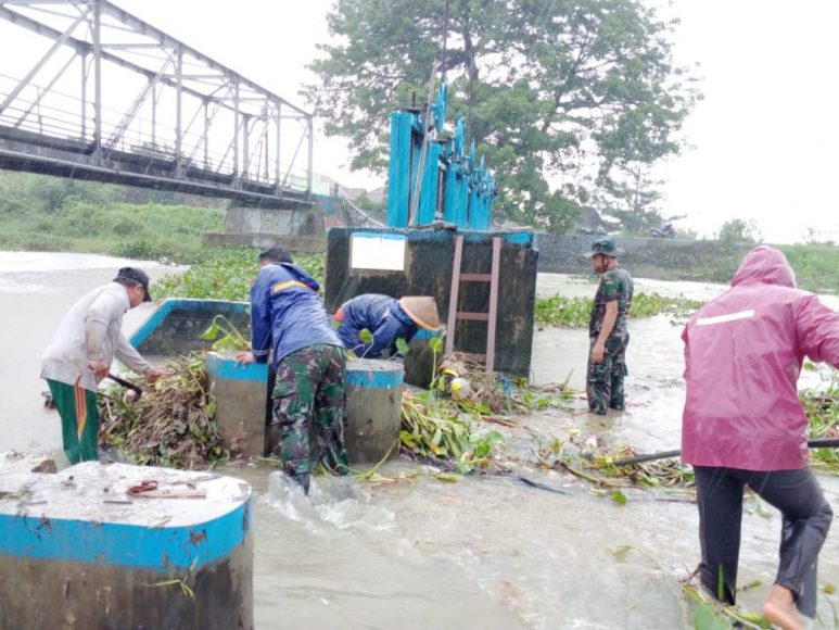 Anggota Koramil Welahan dan warga bersihkan sungai dari enceng gondok
