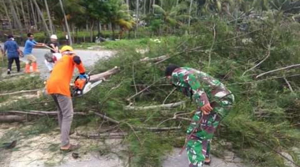 BPBD Selayar saat Tangani Pohon Tumbang
