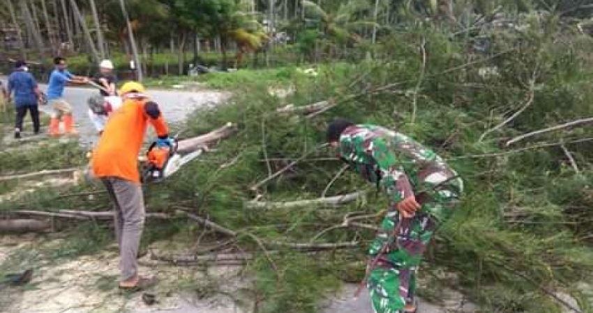 BPBD Selayar saat Tangani Pohon Tumbang