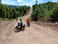Foto tim Pos SAR Kolaka bersama Warga saat melakukan pencarian korban