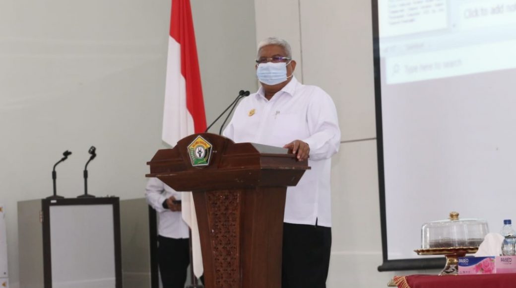 Gubernur Sultra saat memberikan sambutan