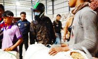 Gusli Topan Sabara saat turun langsung memeriksa hasil panen.