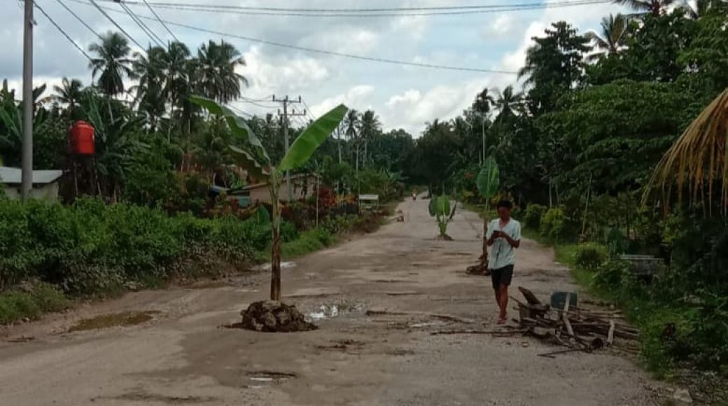 Tak Kunjung Diperbaiki, Warga Konsel Tanam Pohon Pisang di Jalan