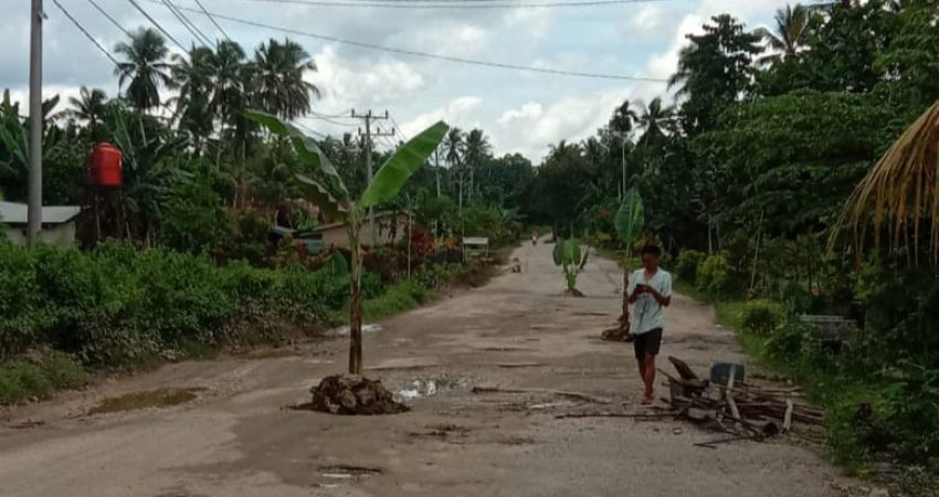 Ruas jalan di Desa Lalowatu dan Lalonggasu Kecamatan Tinanggea-Konsel yang ditanami pohon pisang oleh warga setempat