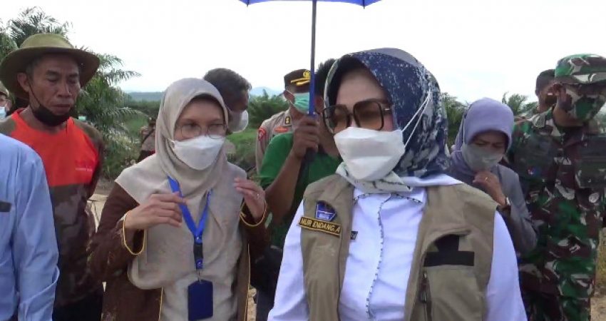 Sekda Sultra Apresiasi Kesiapan PT Sari Dalam Penanganan Karhutla