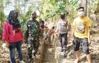 Indra, ST Kades Lalohao (kaos kuning) didampingi bhabinkamtibmas Bripka Syahrir, Babinsa Lalohao Sertu Yunus, dan pendamping desa Hamsia, S.Pd.