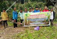 Warga Desa Onembute saat melakukan pembersihan lahan
