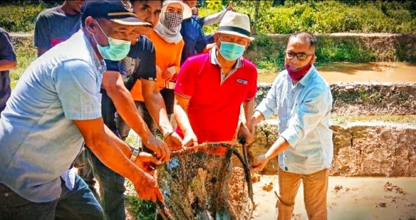 Wujudkan Visi dan Misi, Wakil Bupati Konawe Hadiri Panen Ikan di Kasumeia