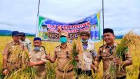Wakil Bupati Konawe bersama Kadis Ketapang, Kabag Humas dan petani saat panen raya di Waworoda.