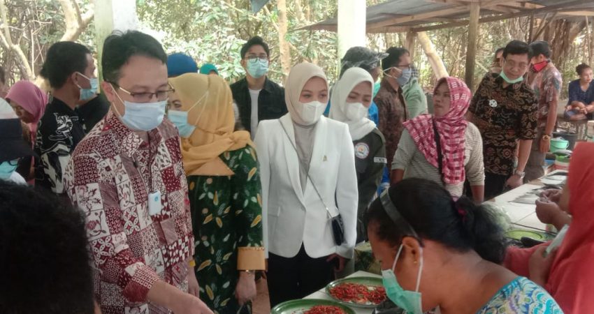 Kunker ke Sultra, Ini Sasaran Wamendag dan Wa Ode Rabia