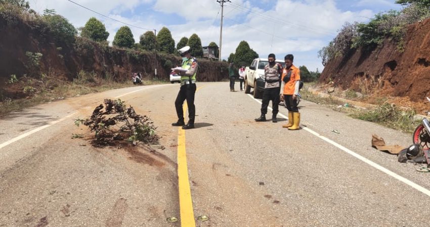 Terjatuh di Tikungan, Pengendara Motor Tewas Terlindas Mobil Hilux di Kolut