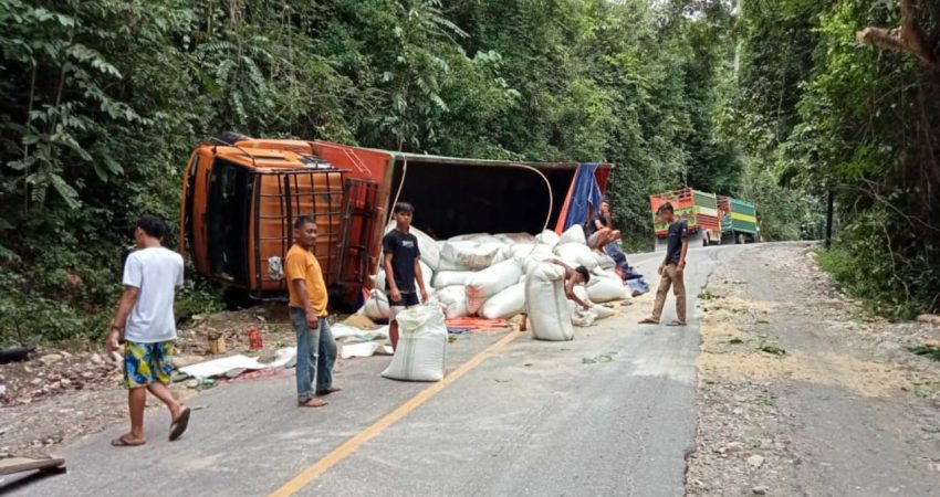 Rem Blong, Mobil Truk Muatan Gabah Terbalik di Kolut