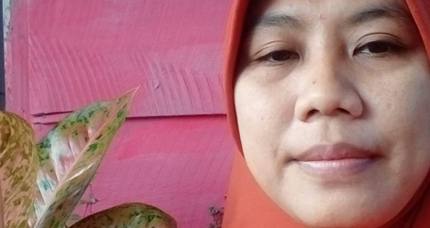 Stunting Masih Tinggi di Sultra, Buton Selatan Zona Merah