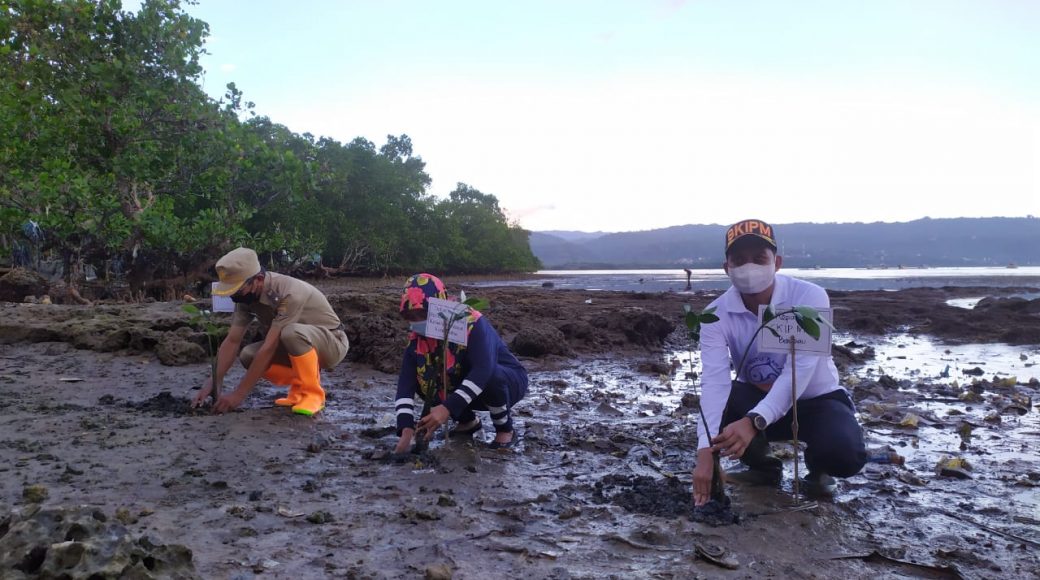 Begini Langkah BKIPM Baubau Jaga Ekosistem dan Biota Laut