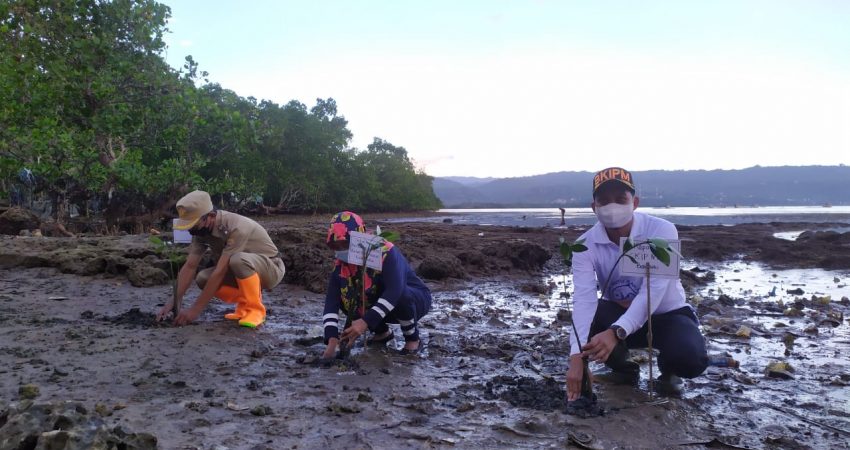 Begini Langkah BKIPM Baubau Jaga Ekosistem dan Biota Laut