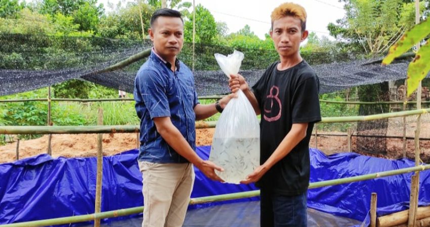 Kades Wowalahombuti Rampungkan Program DD Tahap Satu