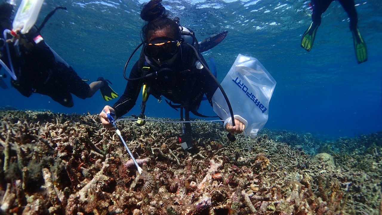Waspada Hama COTS, Perairan Labengki Masuk Kategori Warning