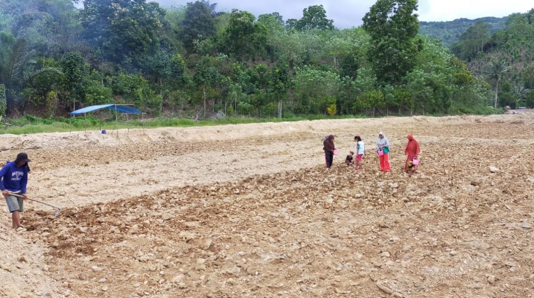 Warga Pekorea Ramai-ramai Bikin Sawah Baru, TMMD ke-111 Hadir di Daerahnya