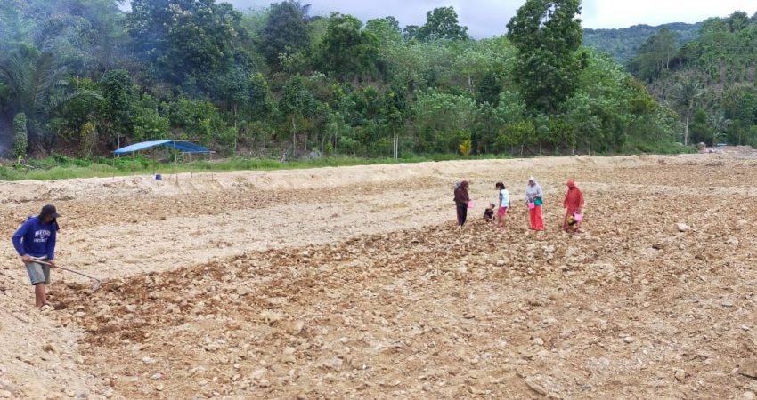 Warga Pekorea Ramai-ramai Bikin Sawah Baru, TMMD ke-111 Hadir di Daerahnya