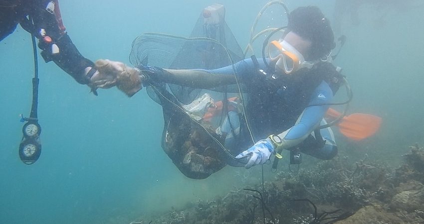 Peringati Hari Lingkungan Hidup dan HUT ANTAM, UBPN Sultra Giat Restorasi Ektem