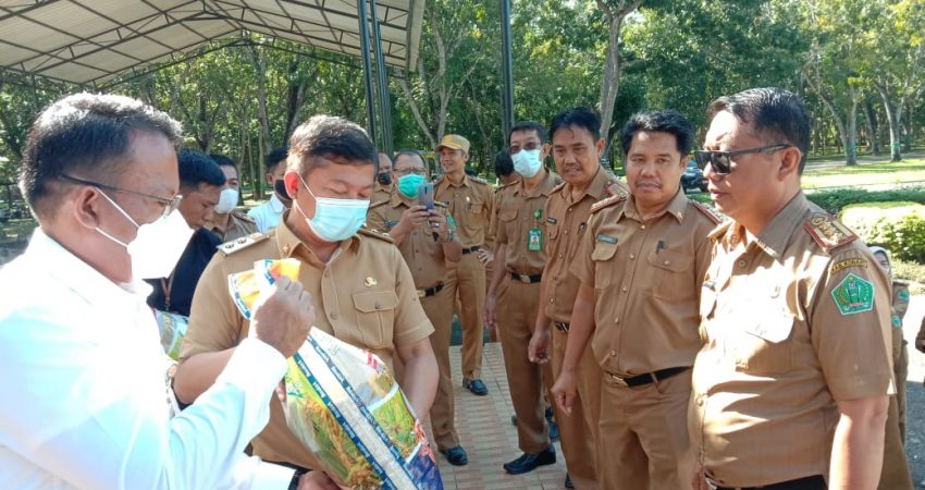 Wakil Bupati Konawe Launching Beras Berlabel “Beras Kita”