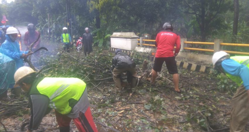 Relawan Muhammadiyah dari MDMC Beraksi Saat Pohon Tumbang di Jalur Jepara Pati