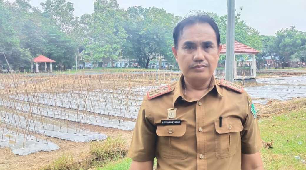 Panen Raya di Konawe Akan Dihadiri Menteri Pertanian