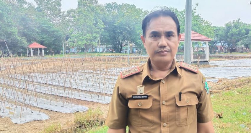 Panen Raya di Konawe Akan Dihadiri Menteri Pertanian