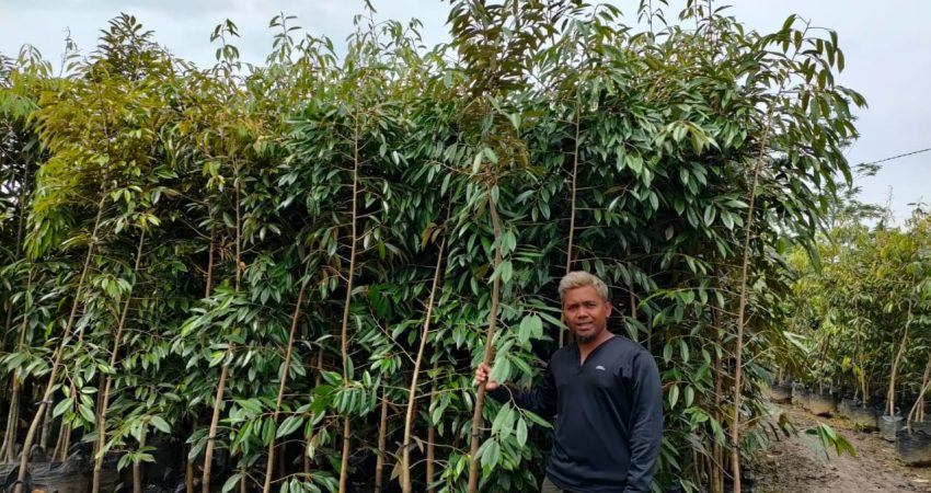 Solahudin Akbar Pengusaha SA Depo Bibit Tanaman Buah Magelang Sokong PS HW Plajan