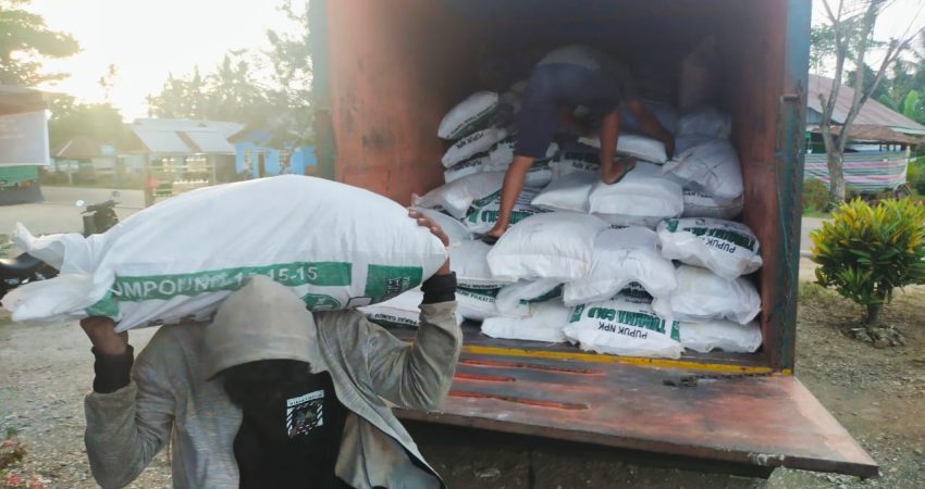 Tingkatkan Produksi Kedelai, Dinas TPHP Konawe Salurkan Bibit dan Pupuk