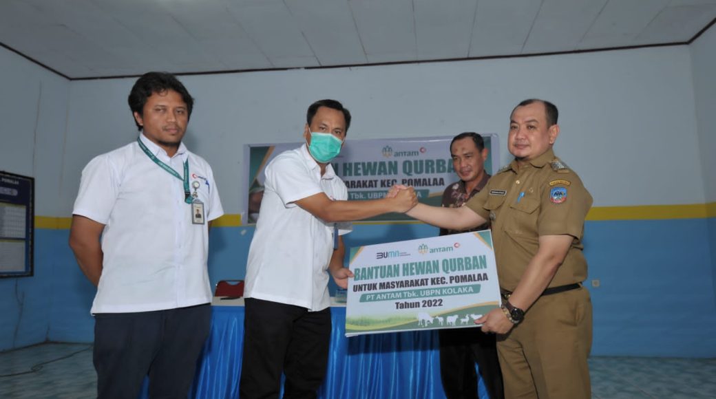 ANTAM UBPN Kolaka Serahkan Sapi Kurban ke Desa/Kelurahan se Kecamatan Pomalaa