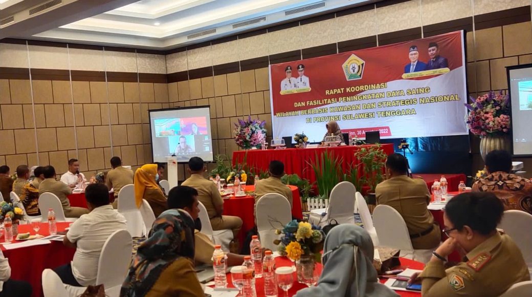 Sinergitas Pusat dan Daerah dalam Pengembangan Kawasan Khusus dan Strategis Nasional di Sultra