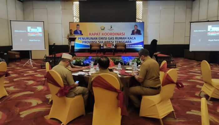 Pembangunan Rendah Karbon dan Berketahanan Iklim Dorong Ekonomi Hijau