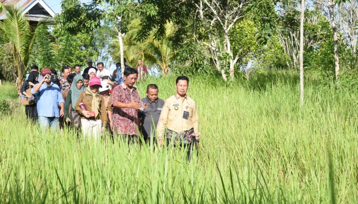 Kampung Wisata 