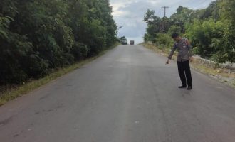 Kasus Lakalantas Palsel-Tinanggea, Iptu Abdul Azis: Truk Tronton dan Motor Telah Disita