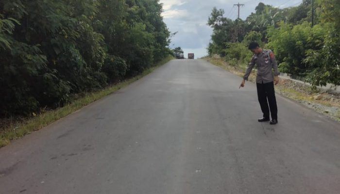 Kasus Lakalantas Palsel-Tinanggea, Iptu Abdul Azis: Truk Tronton dan Motor Telah Disita