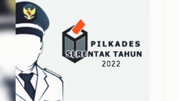 Hasil Pilkades, Berikut Daftar Nama Kades Pemenang 124 Desa di Muna