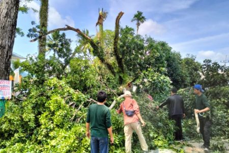 Pemkot Terus Bergerak Menata Kota Kendari