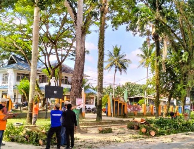 Satgas Penataan Kota