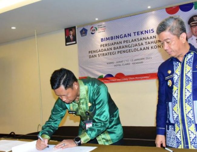 Pj Wali Kota Kendari 