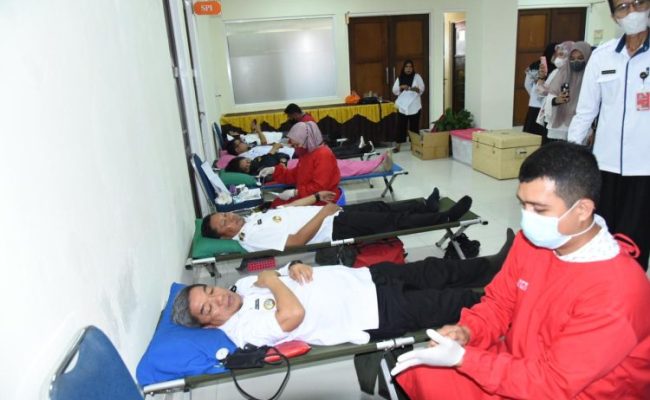 Donor darah