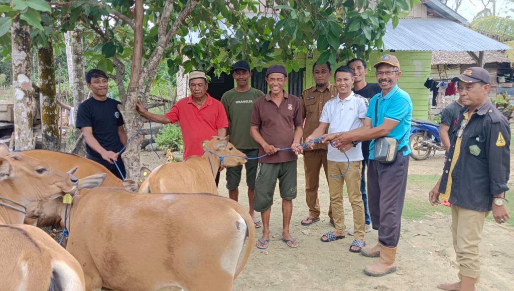 Ramlan Serahkan 15 Ekor Bantuan Sapi di Tiga Desa