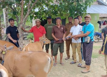 Ramlan Serahkan 15 Ekor Bantuan Sapi di Tiga Desa