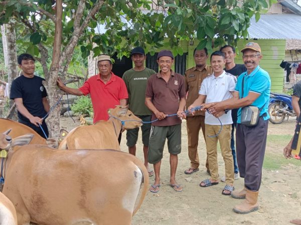 Ramlan Serahkan 15 Ekor Bantuan Sapi di Tiga Desa