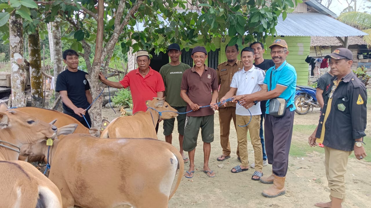 Ramlan Serahkan 15 Ekor Bantuan Sapi di Tiga Desa