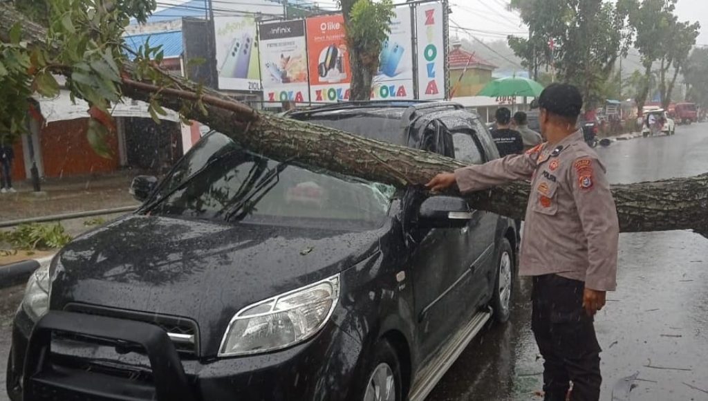 Akibat Cuaca Buruk, Satu Mobil Tertimpa Pohon Tumbang di Kolaka